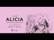 alicia fundacion canal
