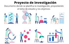 proyecto de investigación