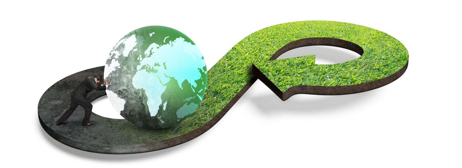 sostenibilidad economica