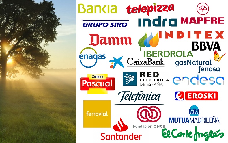 sostenibilidad empresas