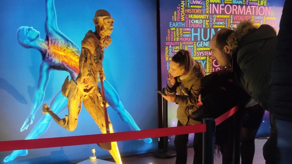 exposición cuerpo humano